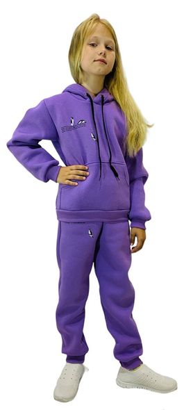 Детский костюм 3-х нить, кенгуру (фиолетовый)32размер